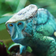Illustration for article titled Yikes, these animal hybrids are so hilariously terrifying